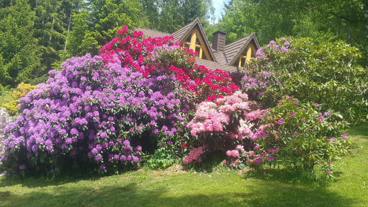 Chalet Bellevue Rogla Zreče Kültér fotó