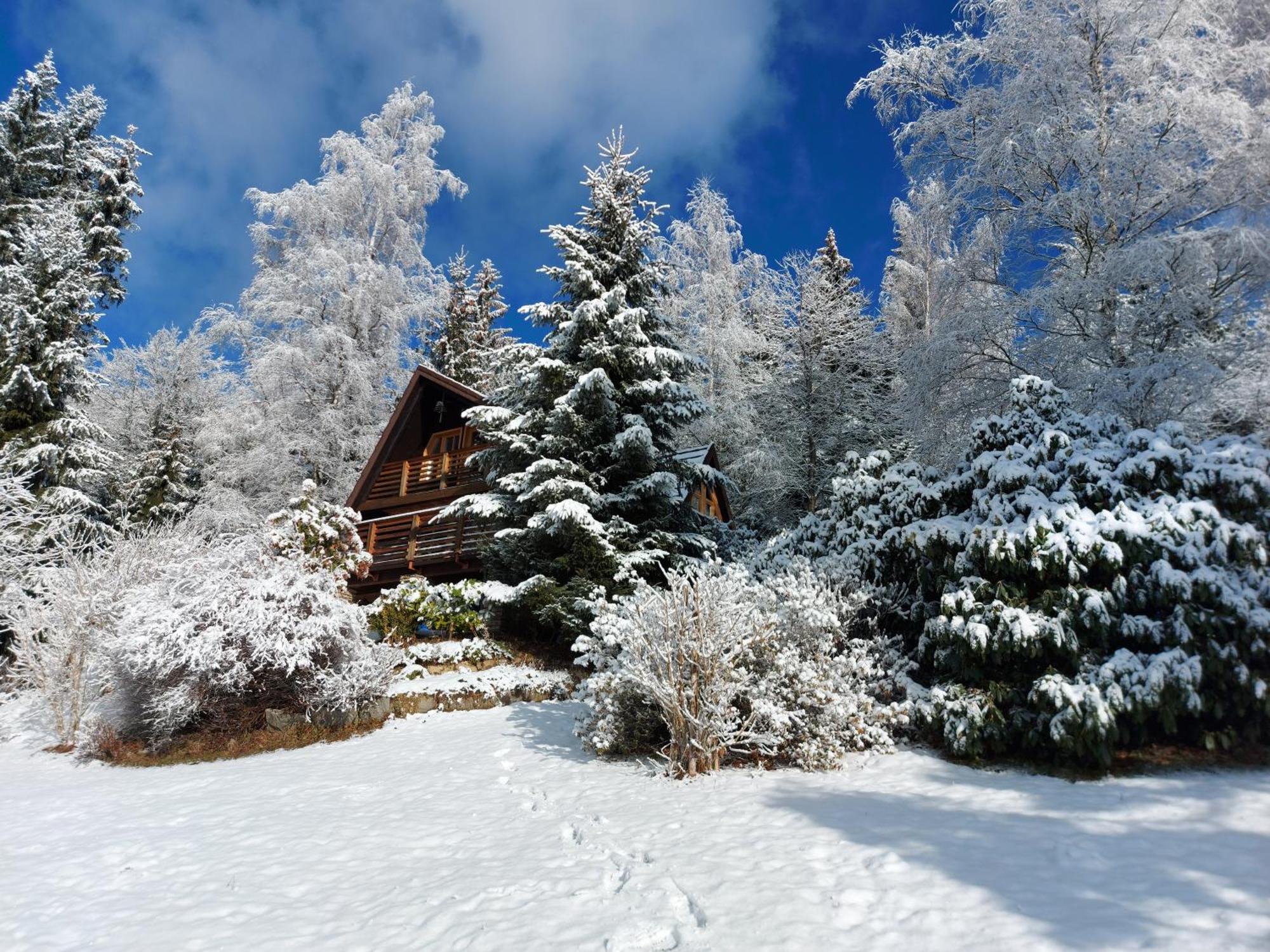 Chalet Bellevue Rogla Zreče Kültér fotó