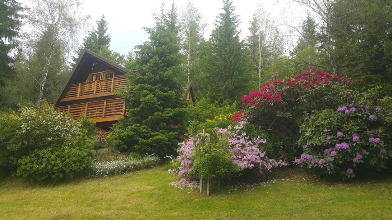 Chalet Bellevue Rogla Zreče Kültér fotó